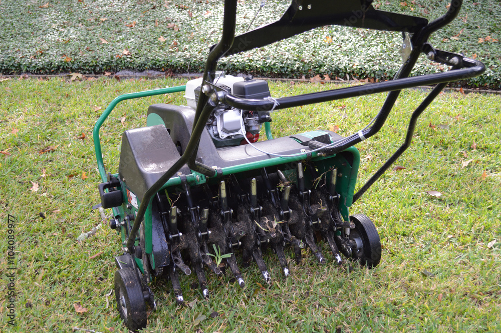 Lawn Aeration